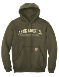 Image of CARHARTT AACC HOODIE -  mossgrn